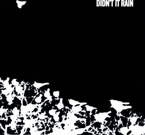 Songs: Ohia: Didn't It Rain [ Record ]