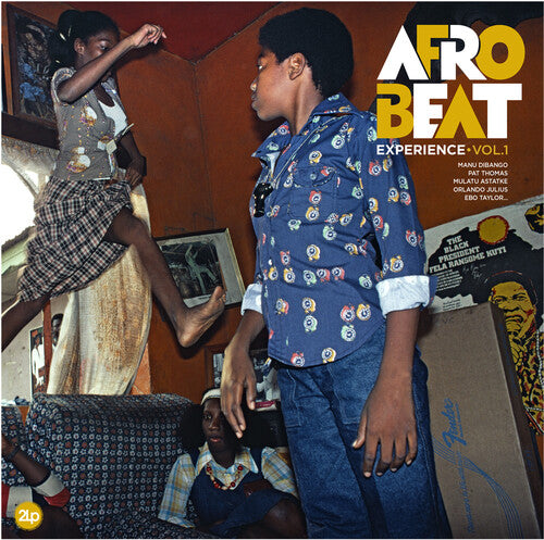 Afrobeat Experience: Vol 1 [ Record ]