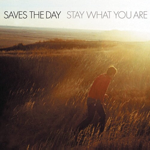 Saves the Day: Stay What You Are [ Record ]