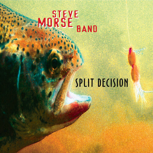 Steve Morse Band: Split Decision [ Record ]