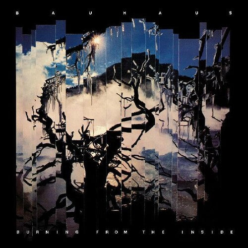 Bauhaus: Burning From The Inside [ Record ]
