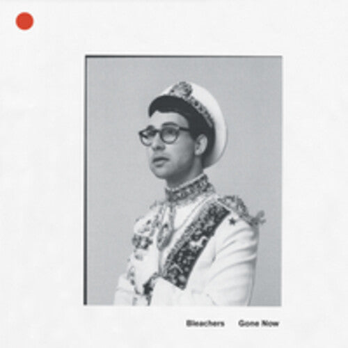 The Bleachers: Gone Now [ Record ]