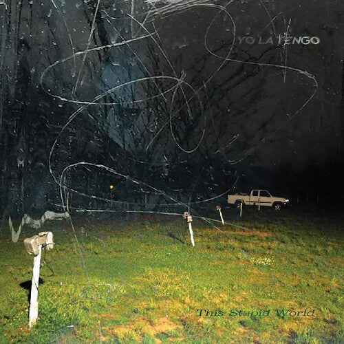 Yo La Tengo: This Stupid World [ Record ]
