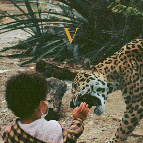 Unknown Mortal Orchestra: V [ Record ]