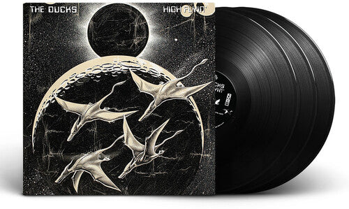 Ducks: High Flyin [ Record ]