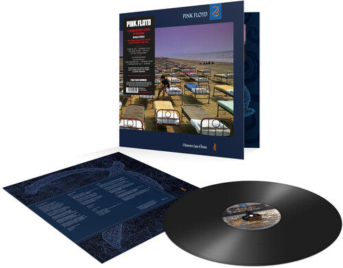 Pink Floyd: Momentary Lapse Of Reason [ Record ]