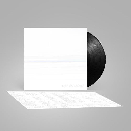 Foo Fighters: But Here We Are (Black Vinyl) [ Record ]
