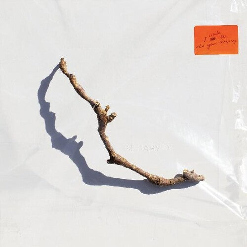 PJ Harvey: I Inside The Old Year Dying [ Record ]