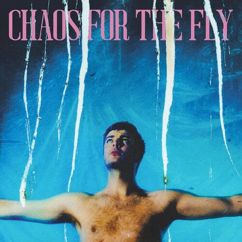 Grian Chatten: Chaos For The Fly [ Record ]