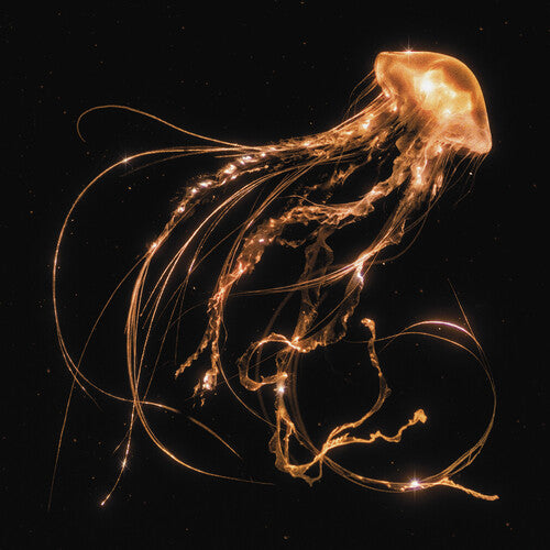 Royal Blood: Back To The Water Below [ Record ]