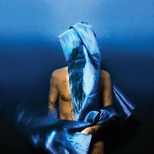 Devendra Banhart: Flying Wig [ Record ]