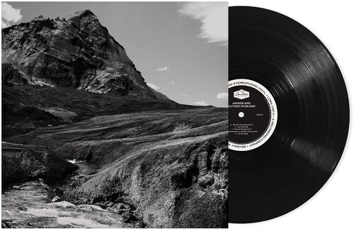 Andrew Bird: Outside Problems [ Record ]