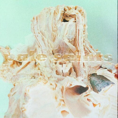Pale Saints: In Ribbons [ Record ]