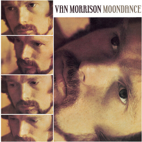 Van Morrison: Moondance [ Record ]