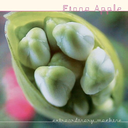 Fiona Apple: Extraordinary Machine [ Record ]