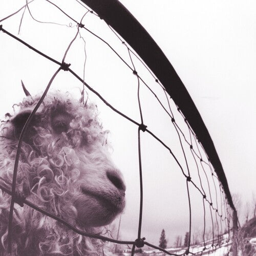 Pearl Jam: Vs. (30th Anniversary Edition) [ Record ]