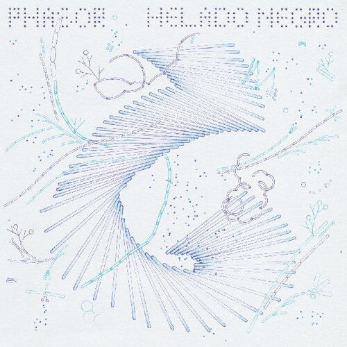 Helado Negro: Phasor [ Record ]