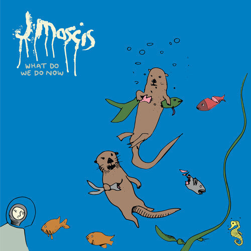 J Mascis: What Do We Do Now [ Record ]