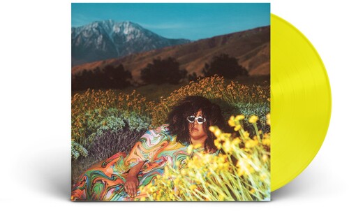 Brittany Howard: What Now [ Record ]