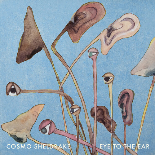 Cosmo Sheldrake: Eye to the Ear [ Record ]
