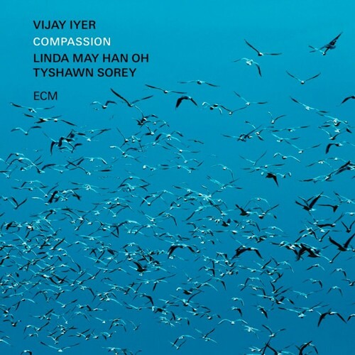 Vijay Iyer: Compassion [ Record ]