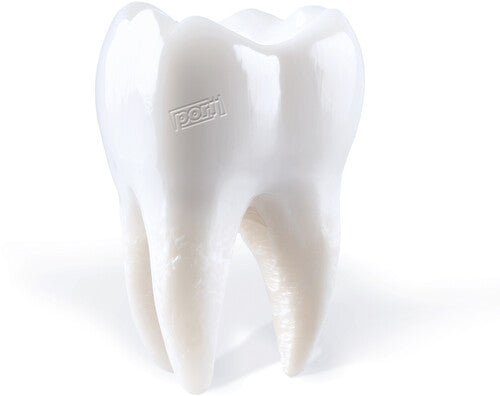 Porij: Teething [ Record ]