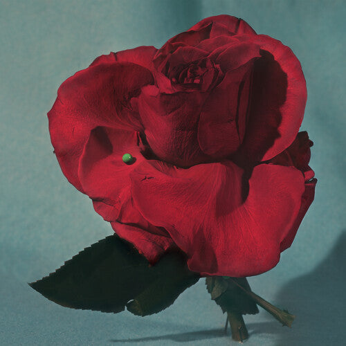 METZ: Up on Gravity Hill - Clear w/ Red [ Record ]