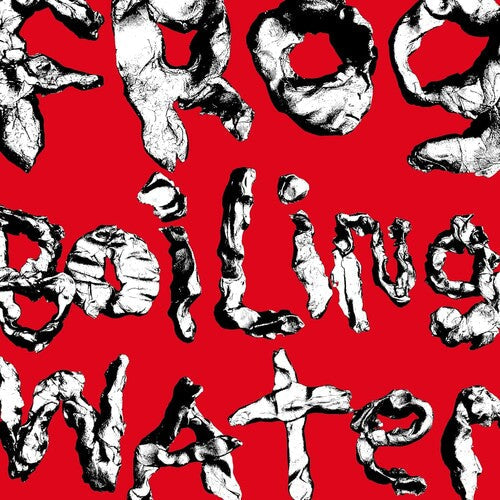 DIIV: Frog In Boiling Water [ Record ]