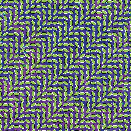 Animal Collective: Merriweather Post Pavilion [ Record ]