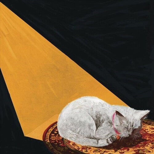 Joywave: Permanent Pleasure [ Record ]