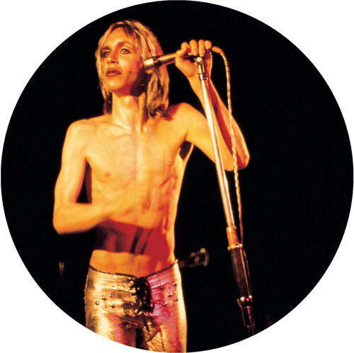 Iggy & The Stooges: More Power [ Record ]