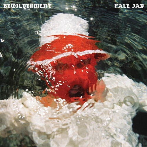 Pale Jay: Bewilderment [ Record ]