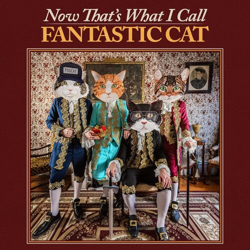Fantastic Cat: Now That's What I Call Fantastic Cat [ Record ]