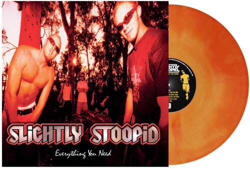 Slightly Stoopid: Everything You Need [ Record ]