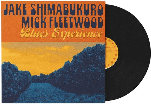 Jake Shimabukuro: Blues Experience [ Record ]
