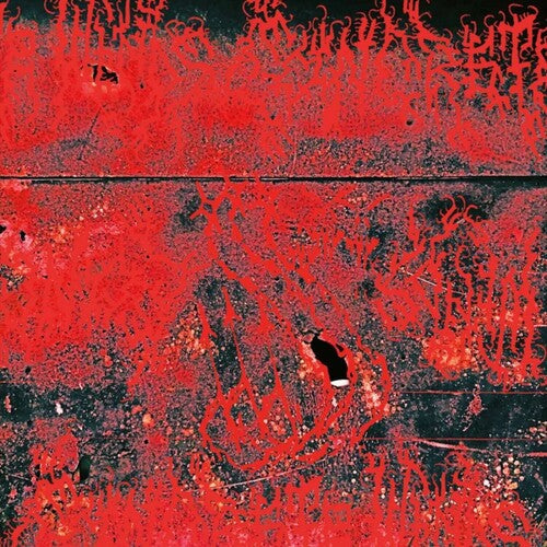 Concrete Winds: Concrete Winds [ Record ]