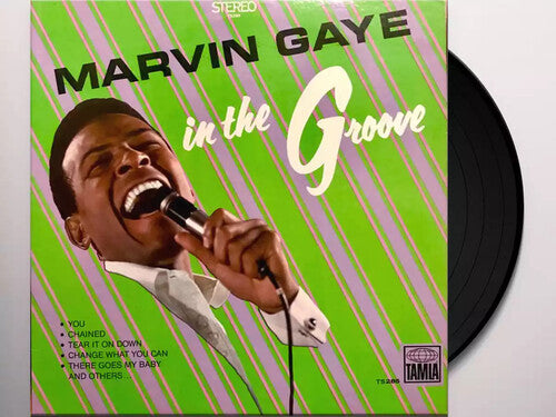 Marvin Gaye: In The Groove [ Record ]