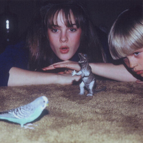 Big Thief: Masterpiece [ Record ]