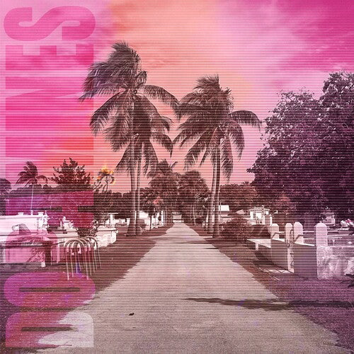 The Dopamines: 80/20 [ Record ]