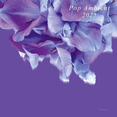 Various Artists: Pop Ambient 2025 [ Record ]