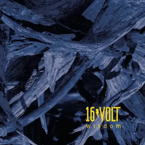 16Volt: Wisdom [ Record ]