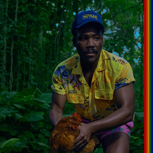 Childish Gambino: Bando Stone And The New World [ Record ]