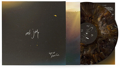 Mt. Joy: Hope We Have Fun [ Record ]