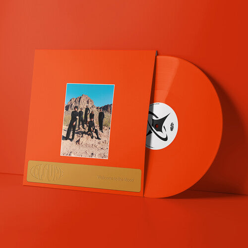 Leisure: Welcome to the Mood [ Record ]