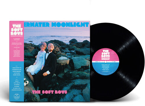 The Soft Boys: Underwater Moonlight [ Record ]