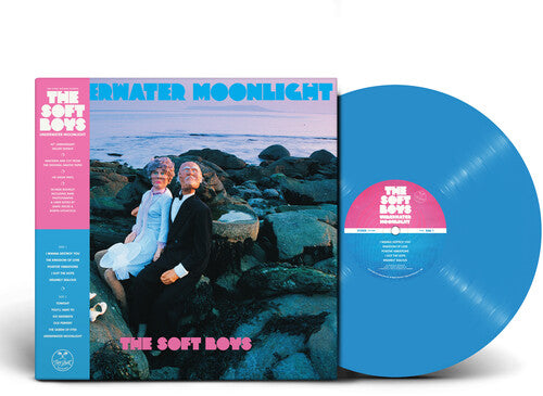 The Soft Boys: Underwater Moonlight [ Record ]