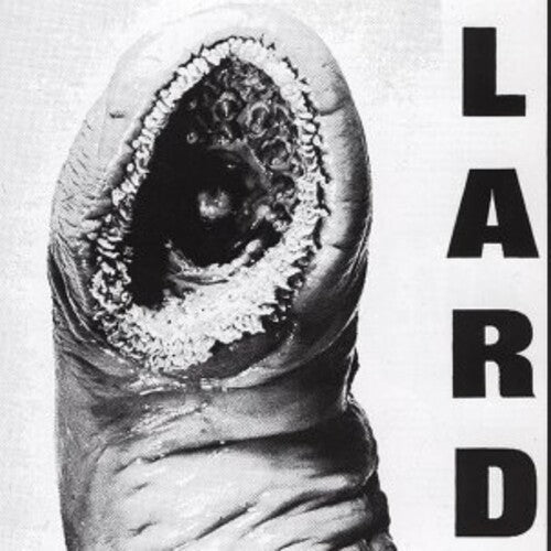 Lard: Power Of Lard - White [ Record ]
