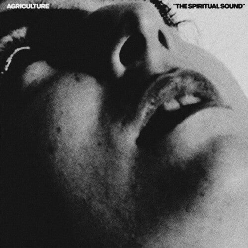Agriculture: The Spiritual Sound [ Record ]