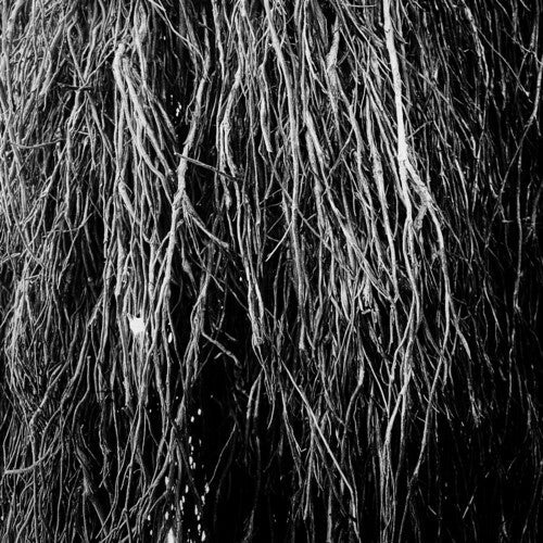 Eraldo Bernocchi: Nocturnal Rainforest [ Record ]