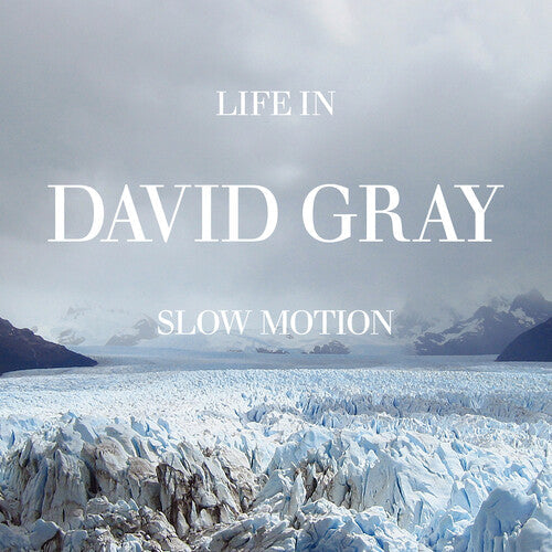 David Gray: Life in Slow Motion (20th Anniversary Edition) [ Record ]